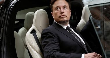 Elon Musk has promoted the conservative documentary 'What is a Woman' after he was accused of 'throttling' free speech when Twitter previously censured it