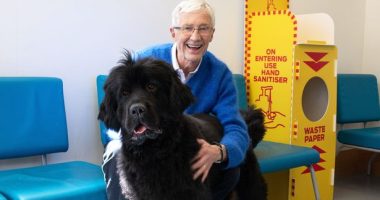 Paul O'Grady For the Love of Dogs replacement is ‘national treasure’