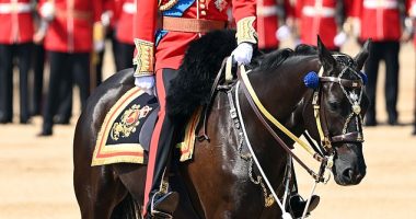 With just a week to go until King Charles III's birthday parade, the Welsh Guards are today fine-tuning their routine ahead of Trooping the Colour - and they were led by Prince William (pictured)