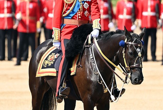 With just a week to go until King Charles III's birthday parade, the Welsh Guards are today fine-tuning their routine ahead of Trooping the Colour - and they were led by Prince William (pictured)