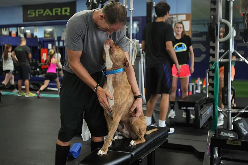 Reddit user asks if he's wrong for bringing dog to gym