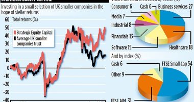STRATEGIC EQUITY CAPITAL: Fund reaps big profits from small firms