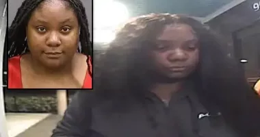 HILLSBOROUGH COUNTY, Fla. - Hillsborough County Sheriff's Office Economic Crimes detectives have arrested a Tampa woman for fraudulently stealing money while charged with a non-profit organization's payroll.