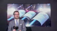 The Business of Winemaking with Viña Concha y Toro's Rodrigo Jackson