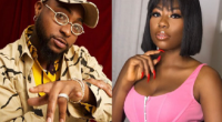“Thought Davido Was A Responsible Father?” – Fan Asks Sophia Momodu, She Responds