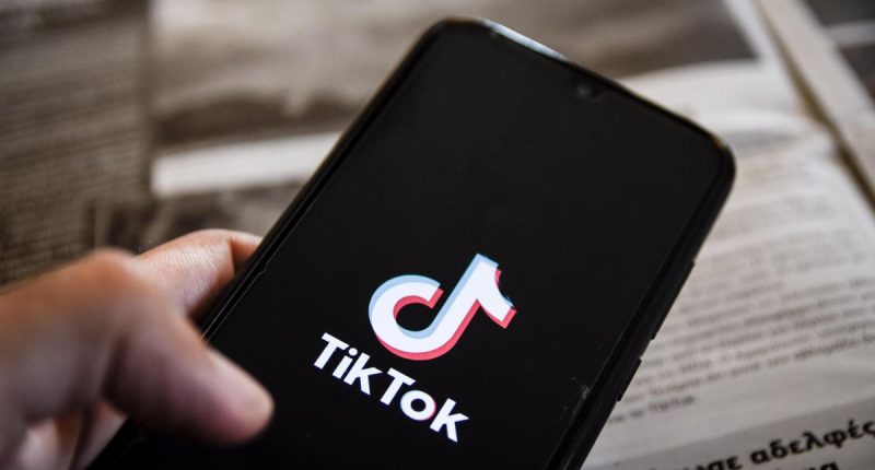 TikTok Lawyer Says Reporters Are Part Of “Anti-TikTok Disinformation”