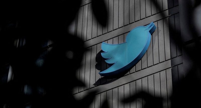 Twitter Safety Executives Exit as Concerns About Policing Content Grow