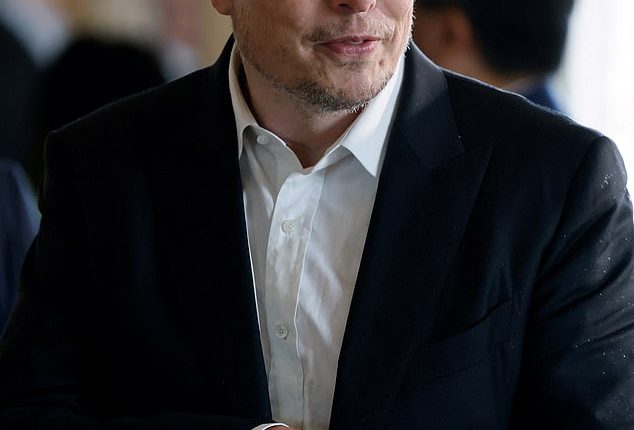 Twitter's US advertising revenue has dropped by a drastic 59 per cent in the wake of Elon Musk's (pictured on May 15 in Paris) takeover of the social media platform - despite the CEO claiming 'almost all advertisers' had returned to the tech giant