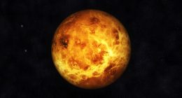 Venus to be at highest point in the sky after Strawberry Moon: NASA