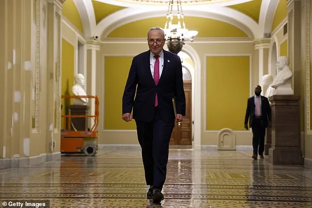 Before the ink was even dry on President Biden and Speaker McCarthy's debt limit deal, senators were carving out ways to get around spending limits by passing 'emergency' bills to boost defense spending and the war in Ukraine. Senate Majority Leader Chuck Schumer walks through the falls after the Senate passed the bll