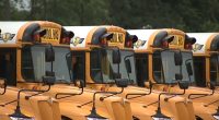 Waukegan parents say 5-year-old son left on school bus after falling asleep on way to Robbie Lightfoot Learning Center