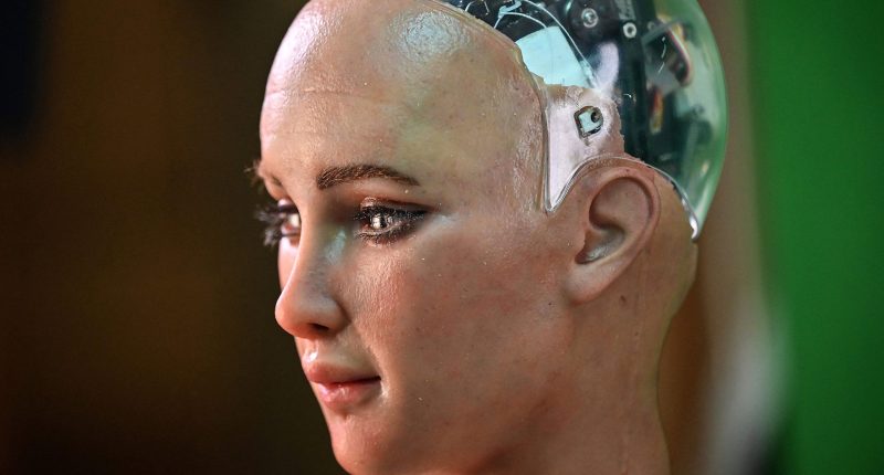 What is the Sophia robot and why does it want to ‘destroy humans’?