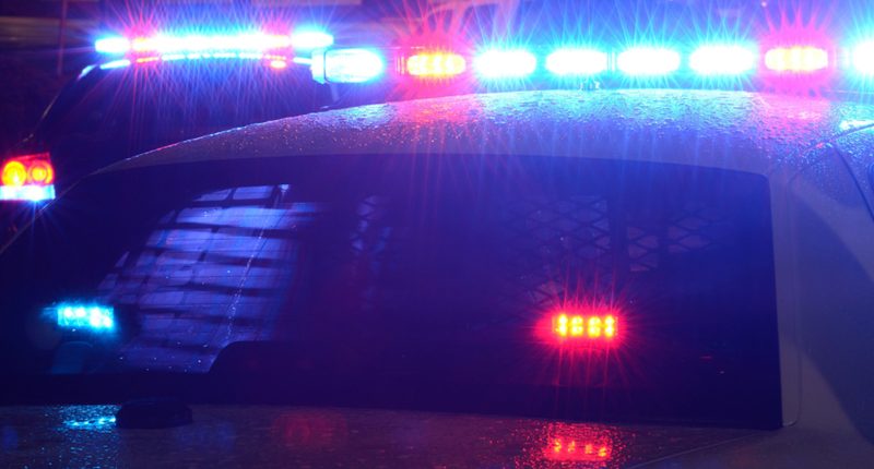 Woodlawn, Chicago migrants: Police department conducting death investigation after man dies at Wadsworth Elementary School