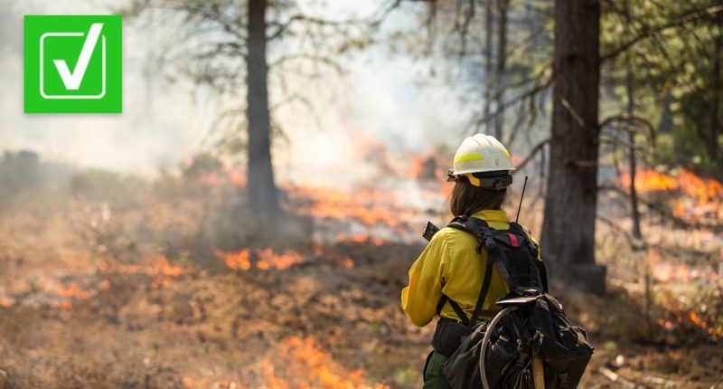 Yes, the U.S. is sending firefighters to Canada to battle wildfires