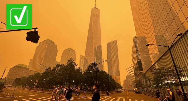 Yes, wildfire smoke does pose health risks