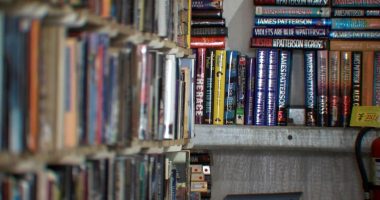 ‘Our goal is to spread literature’: Pinellas County couple selling banned books at new book store