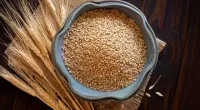 Steel Cut Oats