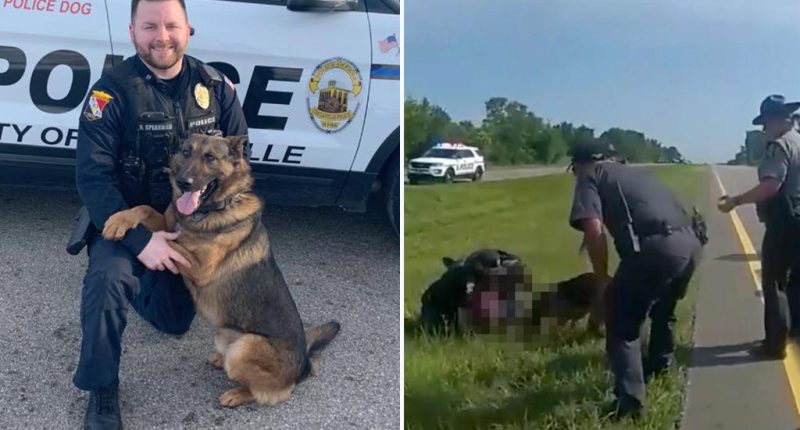 Ohio cop fired for unleashing K9 on surrendering trucker