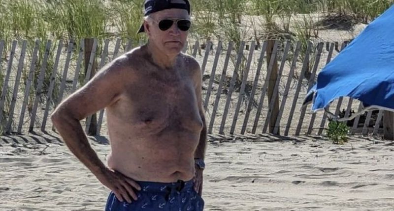 Biden's Gen Z Influencers React to Him Shirtless at the Beach, and the Kids Are Not Alright