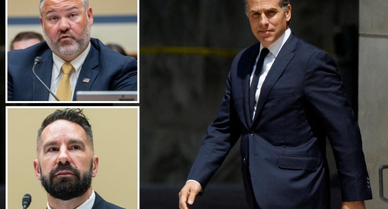 Former FBI agent confirms Biden team tipped off about Hunter probe