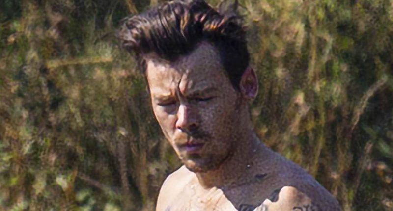 'I think if I saw Harry Styles in his swim shorts I'd drown!': Twitter users get hot under the collar after shirtless pop star shows off his six pack and tattoos while swimming at Hampstead Heath public pond