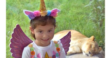 35th annual Boo at the Akron Zoo returns in October