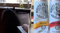 A three-legged bear named Tripod stole White Claws from a Florida family’s fridge