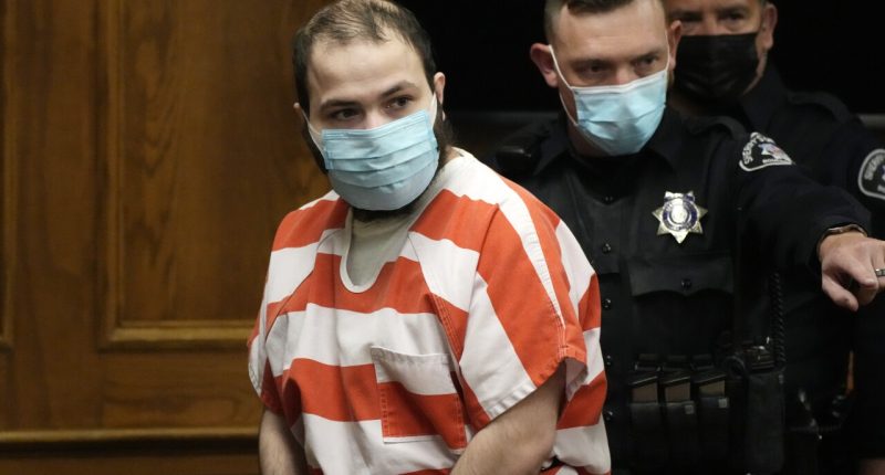 Ahmad Al Aliwi Alissa, Accused Of Killing 10 People, Mental Competence For Trial Set To Be Debated