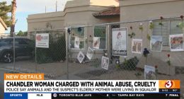April McLaughlin accused of animal abuse. 55 dogs taken.