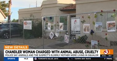 April McLaughlin accused of animal abuse. 55 dogs taken.