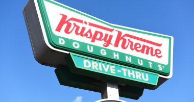 Bears raid a Krispy Kreme doughnut van on an Alaska military base