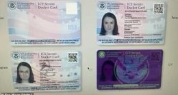 A look at the proposed ICE Secure Docket cards for a pilot rollout of a new program aimed at keeping better track of undocumented migrants released into the U.S.