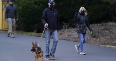 Biden's German Shepherd Strikes Again, Bites 11th Secret Service Agent