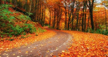 Blue skies, leaf colors and pumpkin spice: 4 Fast Facts about fall