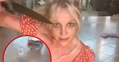 Britney Spears' Fans Want Dogs Taken Away After Dangerous Knife Video