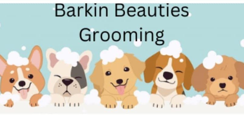 Business Beat: New mobile pet grooming service in Dickinson