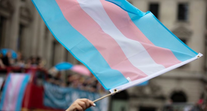California custody cases will now consider child’s gender identity