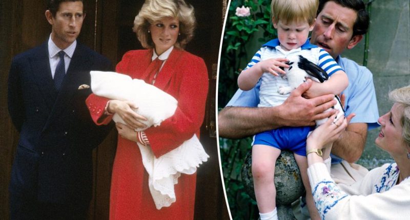 Charles' complaints about Harry being boy 'devastating' for Diana