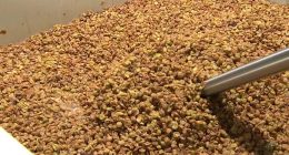 Chicago Winery: Behind the scenes look at how to make wine