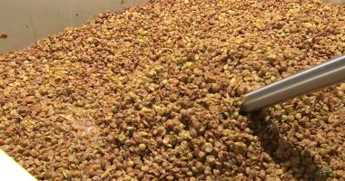 Chicago Winery: Behind the scenes look at how to make wine