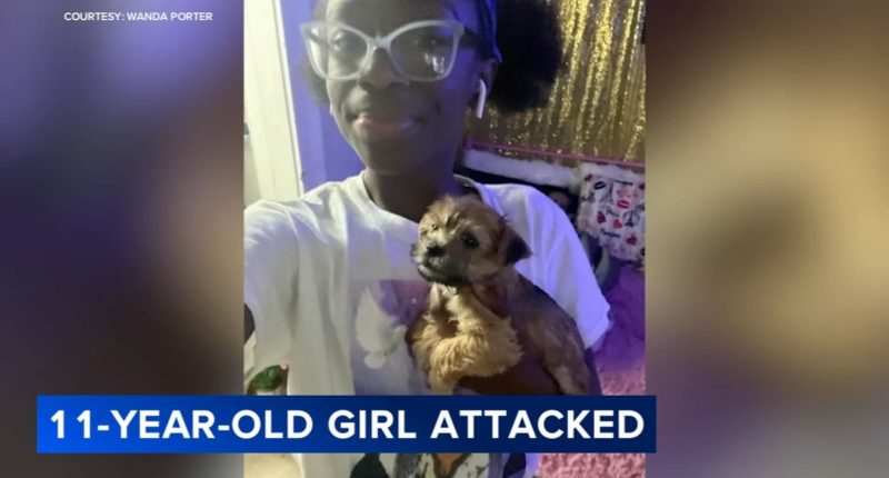 Chicago attack: 11-year-old girl undergoing 2nd surgery after 2 women attacked her in Lawndale, mother says