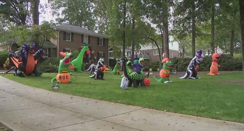 Community rallies to defend Dunwoody family's dinosaurs after complaint to city