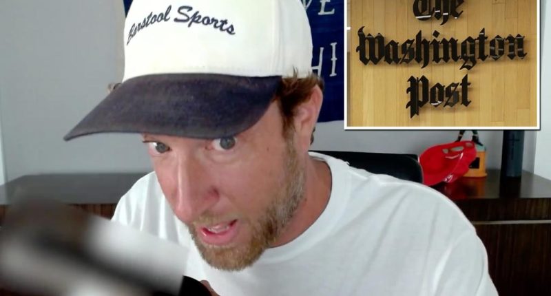 Dave Portnoy bashes Washington Post reporter over 'hit piece'