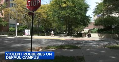DePaul University students targeted in violent Lincoln Park, Chicago robberies near Seminary and Belden, Racine and Belden
