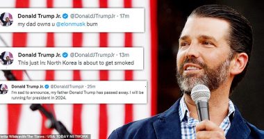 Donald Trump Jr.'s Twitter account was hacked Wednesday morning and flooded with a series of outlandish and confusing posts.