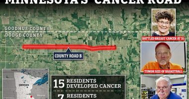 EXCLUSIVE America's 'cancer road': Fifteen people diagnosed, seven dead and tumors 'the size of basketballs' - every family along this two-mile stretch in rural Minnesota has been blighted by disease