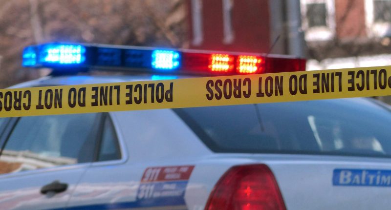 Eco Map Technologies CEO Falls Victim to Repeat Offender Released Despite Officials’ Claims He Should Never Have Been on the Streets