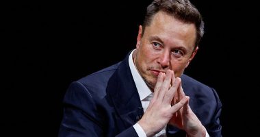Elon Musk hit out at San Francisco lawmaker Dean Preston after he the city 'pound' tourists with a message about not leaving possessions in cars as a means of dealing with soaring thefts