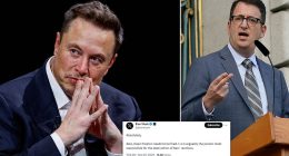 Elon Musk has called for a San Francisco lawmaker to be fired after he suggested tourists could prevent soaring thefts sweeping the Dem-led city by not leaving their items in cars. The former Tesla boss took aim at city supervisor Dean Preston over comments he made earlier this week. Preston suggested that the spate of car thefts plaguing the city could be solved if tourists took more care with their possessions.