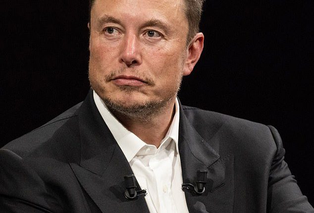 Elon Musk reveals he BACKS border wall and says migrants must have 'shred of evidence' to claim for asylum - days after announcing visit to crisis-hit Eagle Pass